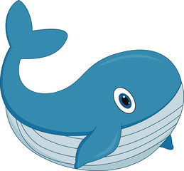 cute cartoon whale on white background