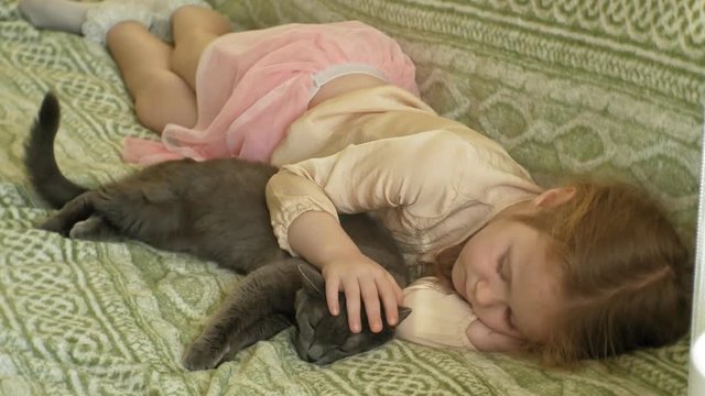 happy girl child with blond hair and pigtails lying on the sofa stroking a gray cat