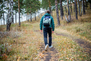handsome male tourist hiking in the forest
