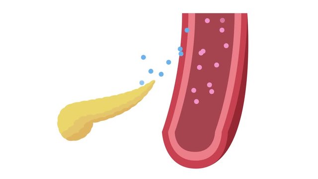 pancreas and insulin in blood graphic animation