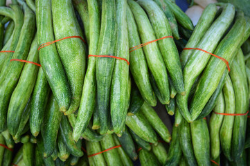 fresh snake gourd in the market / pile of green snake gourd vegetable background