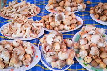 straw mushroom on plate sale in the market - fresh straw mushroom from the mushroom farm in thailand