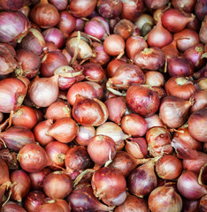Shallots background texture , herb vegetable ingredient shallot onion