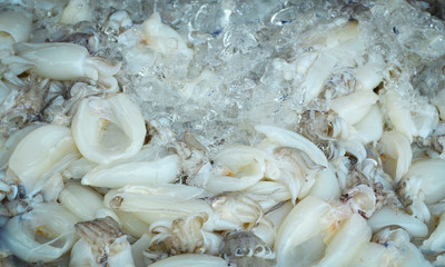 fresh squid in ice in box / raw squid in  seafood market background