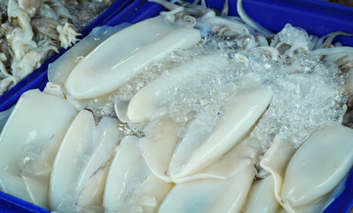 fresh squid in ice in box / raw squid in  seafood market background