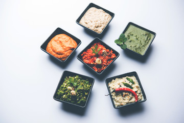 Group of Indian Chutneys includes coconut, Peanut, green and red chilly, garlic and pudina served in small square shape bowls. selective focus