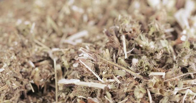 Motherwort grass in bulk