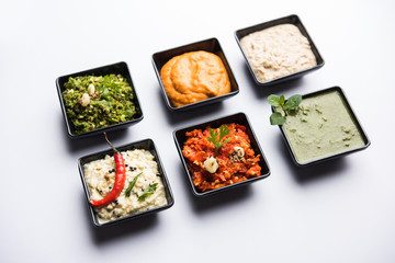 Group of Indian Chutneys includes coconut, Peanut, green and red chilly, garlic and pudina served in small square shape bowls. selective focus