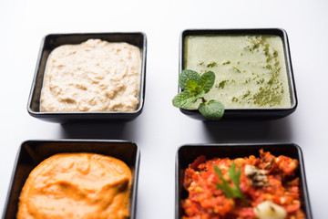 Group of Indian Chutneys includes coconut, Peanut, green and red chilly, garlic and pudina served in small square shape bowls. selective focus