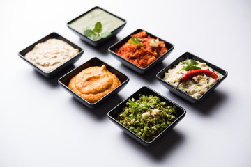 Group of Indian Chutneys includes coconut, Peanut, green and red chilly, garlic and pudina served in small square shape bowls. selective focus