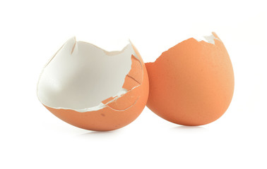egg shell on white background