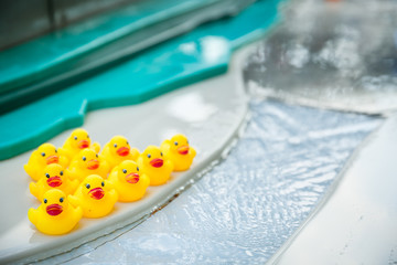 Group of yellow rubber toy ducks on a swimming pool edge