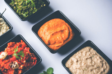 Group of Indian Chutneys includes coconut, Peanut, green and red chilly, garlic and pudina served in small square shape bowls. selective focus