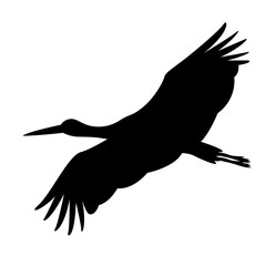 stork  in flight ,vector illustration ,silhouette