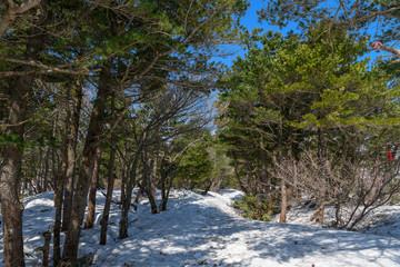 薬師岳から安達太良山へ向かう春の登山道