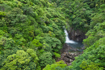 Fototapeta na wymiar YAKUSHIMA　竜神の滝