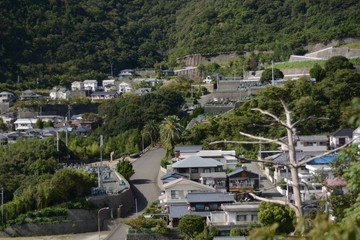 aerial view of the city