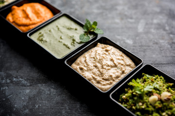 Group of Indian Chutneys includes coconut, Peanut, green and red chilly, garlic and pudina served in small square shape bowls. selective focus