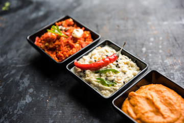 Group of Indian Chutneys includes coconut, Peanut, green and red chilly, garlic and pudina served in small square shape bowls. selective focus