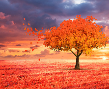 fantasy landscape with red autumn tree