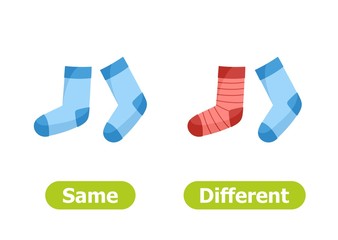 Vector antonyms and opposites. Same and Different. Illustrations on white background. Card for teaching aid, for a foreign language learning.