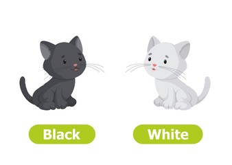 Vector antonyms and opposites. Black and White. Cartoon characters illustration on white background. Card for teaching aid, for a foreign language learning.