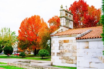 church with trees, autumnal landscape