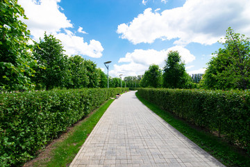 sidewalk in a green park