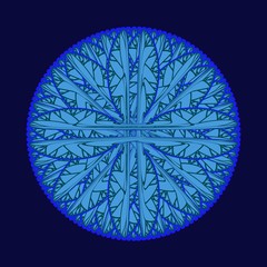 Shark_Attack_In_Lace