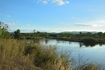 dam river in nature