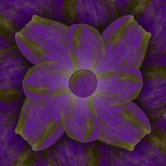 Corporeal_Flower_Purple