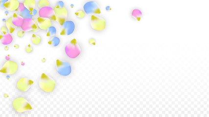 Vector Realistic Colorful Petals Falling on Transparent Background.  Spring Romantic Flowers Illustration. Flying Petals. Sakura Spa Design. Blossom Confetti. Design Elements for Wedding Decoration.