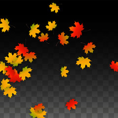 September Vector Background with Golden Falling Leaves. Autumn Illustration with Maple Red, Orange, Yellow Foliage. Isolated Leaf on Transparent Background. Bright Swirl. Suitable for Posters.