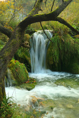 Panoramic beautiful deep forest waterfall in  Croatia