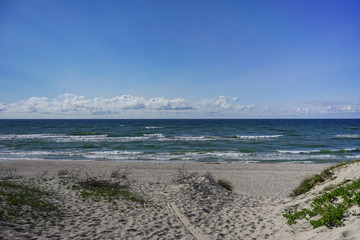 Sea landscape of the Baltic sea with coastal sand dunes of the Curonian spit.