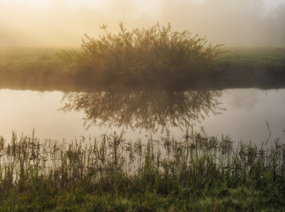 spring meadow. foggy morning in the river valley