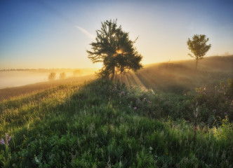 Fototapeta na wymiar spring meadow. foggy morning in the river valley