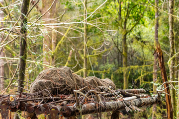 fake body decorations wrapped in shroud on branches