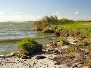 Am Saaler Bodden bei Wustrow, Halbinsel Fischland, Mecklenburg-Vorpommern, Deutschland