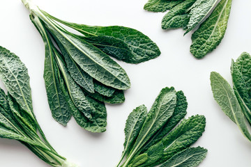 Fresh organic green kale leaves pattern on a white background, flat lay healthy nutrition concept - obrazy, fototapety, plakaty