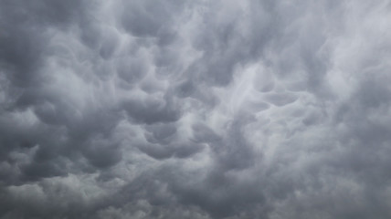 Stange Mammatus 