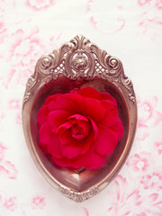 Silver heart - red camellia