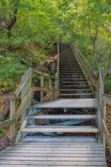 steile, lange Holztreppe im Wald von M&ouml;ns Klint auf der Insel M&ouml;n in D&auml;nemark