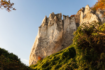weiße Kreidefelsen von Möns Klint zur goldenen Stunde mit Büschen im Vordergrund