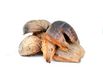 coconut shell's hair,coconut peel white background.