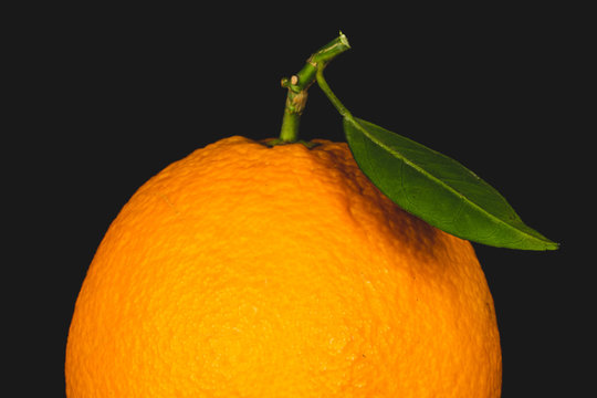 ripe and fresh orange