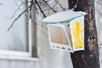 bird feeder in winter