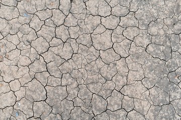 dry soil for background