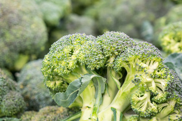 Pile of green broccoli at the farmers market