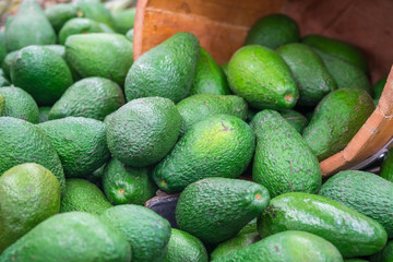 fresh avocado on the market. avocados are very nutritious and contain a wide variety of nutrients. healthy food.